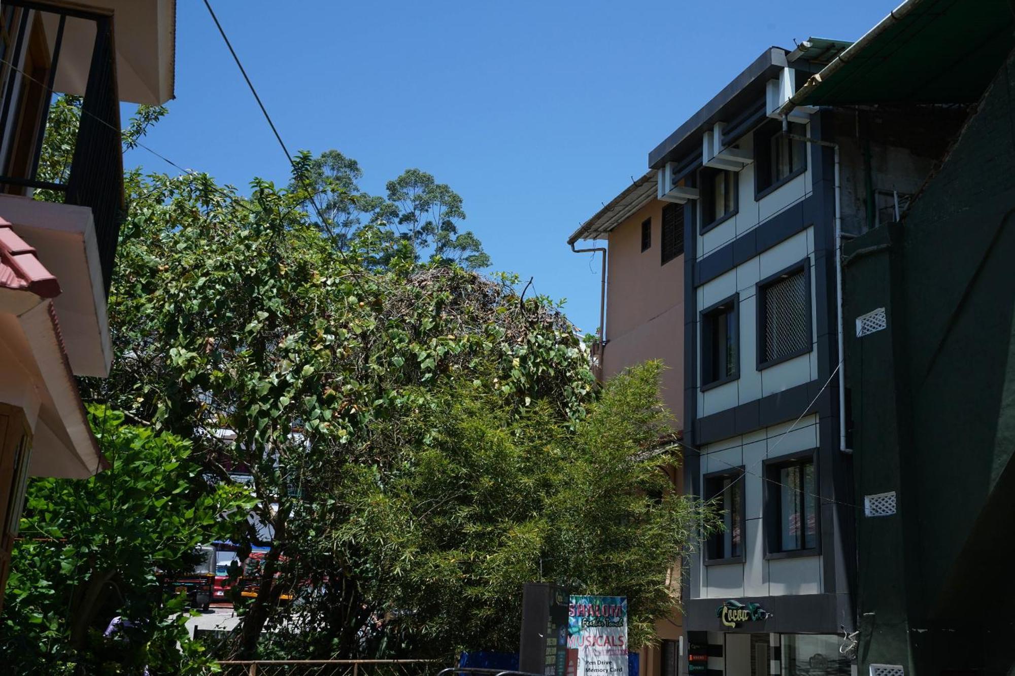 Oyo Hotel Cocoa Tree Munnar Kültér fotó